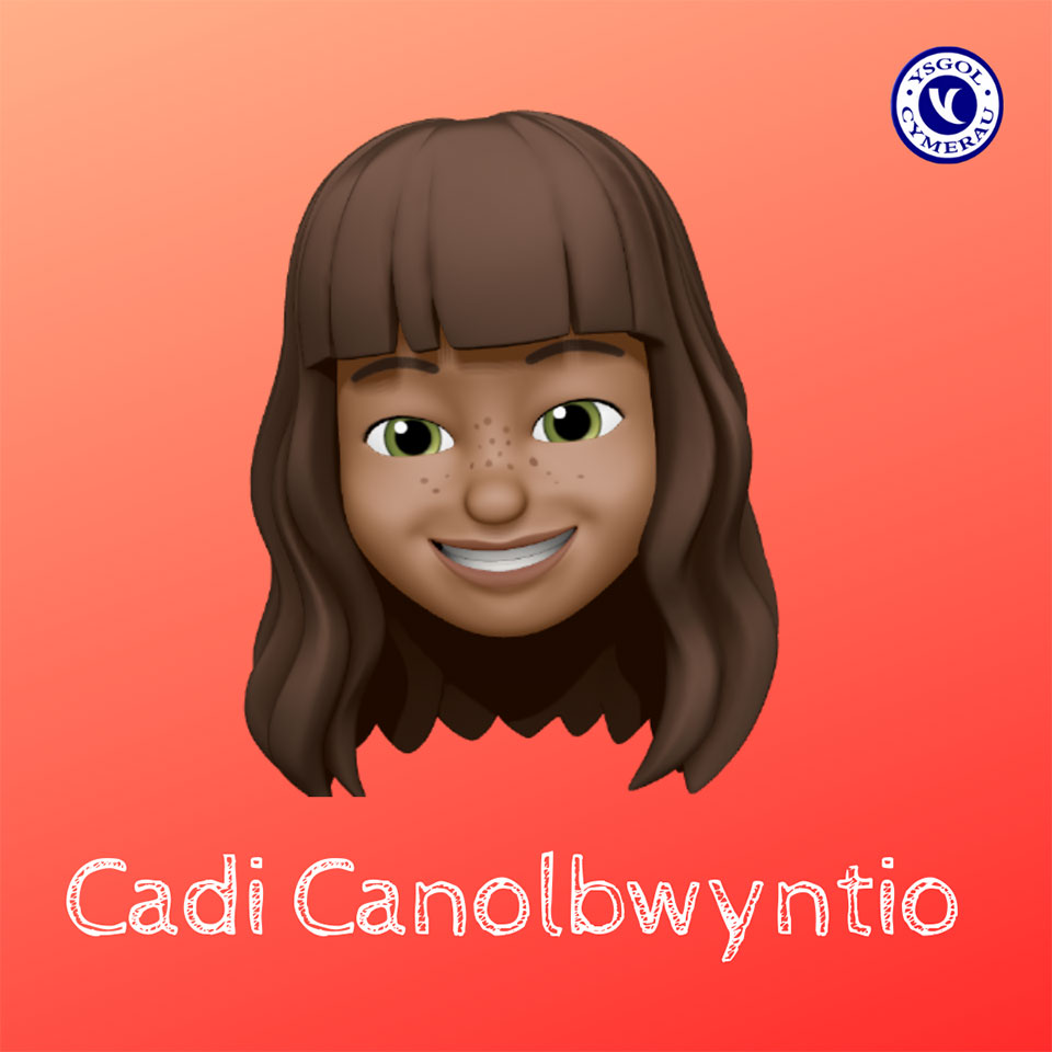 Cadi Canolbwyntio